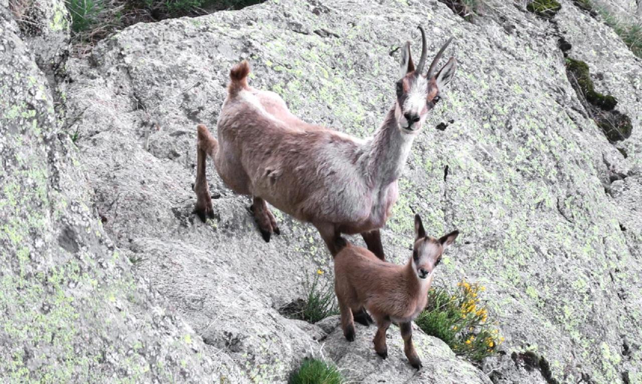 Serrat Del Vent - Adults Only Рибес-де-Фресер Экстерьер фото